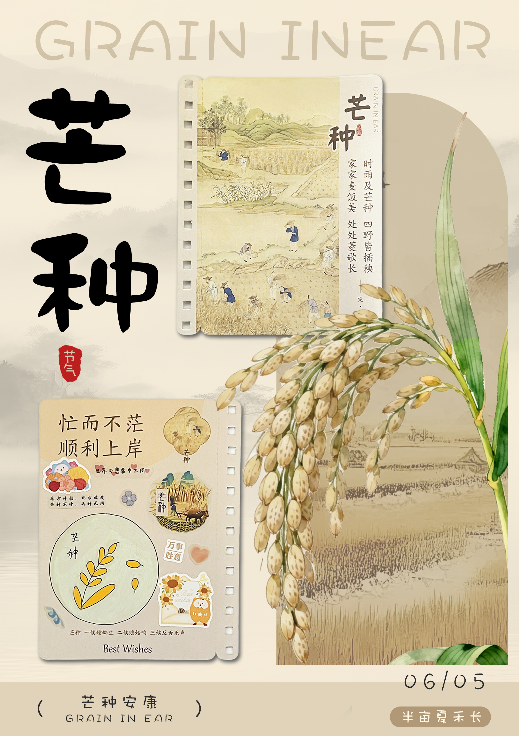 芒种至 盛夏始