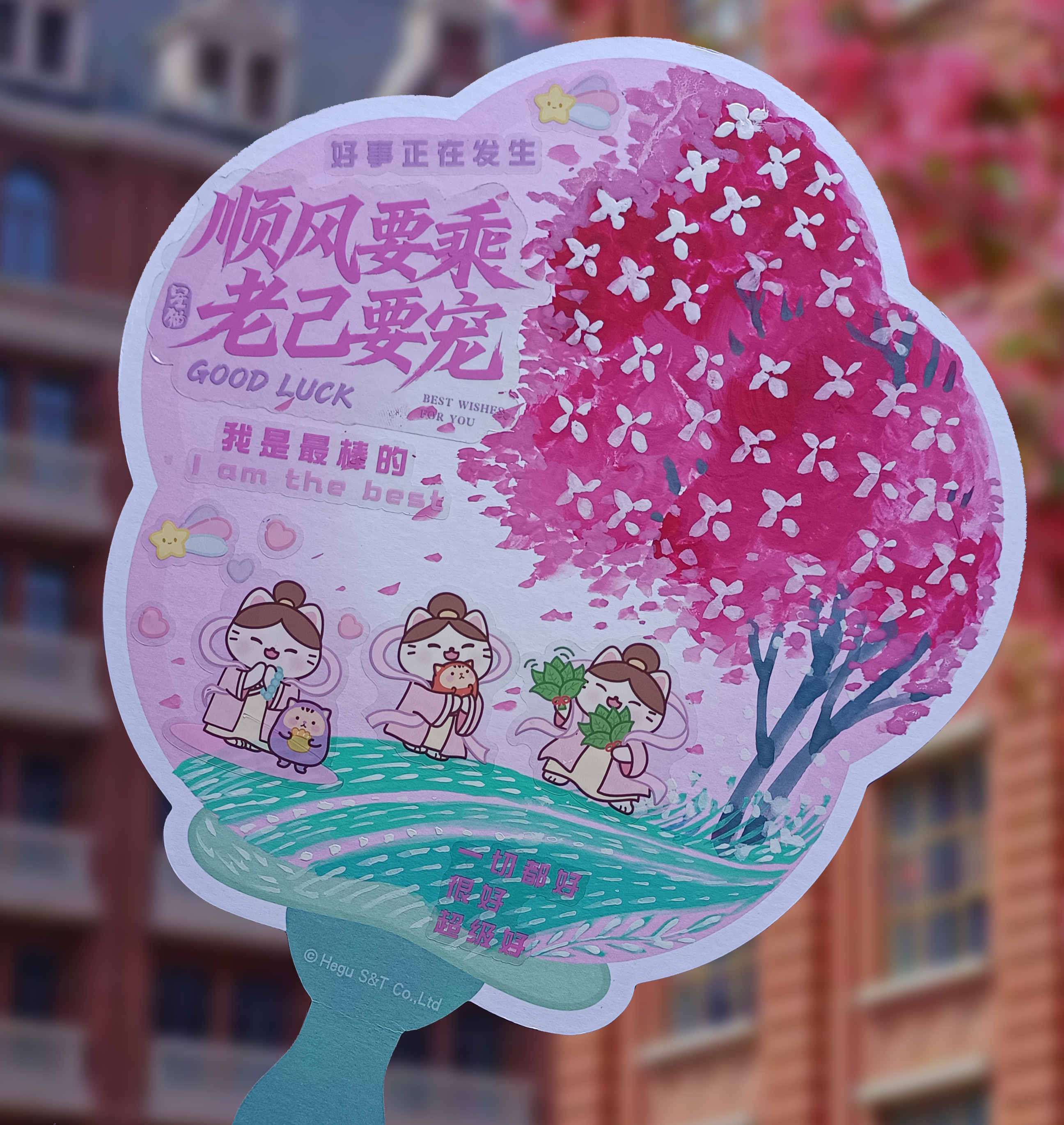顺风要乘 老己要宠